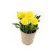 Artificial 18cm Yellow Chrysanthemum Plant with Gift Box - Closer2Nature