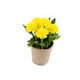 Artificial 18cm Yellow Chrysanthemum Plant with Gift Box - Closer2Nature