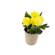 Artificial 18cm Yellow Chrysanthemum Plant with Gift Box - Closer2Nature