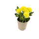 Artificial 18cm Yellow Chrysanthemum Plant with Gift Box - Closer2Nature