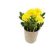 Artificial 18cm Yellow Chrysanthemum Plant with Gift Box - Closer2Nature