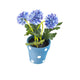 Artificial 19cm Blue Chrysanthemum Plant with Gift Box - Closer2Nature