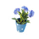 Artificial 19cm Blue Chrysanthemum Plant with Gift Box - Closer2Nature