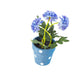 Artificial 19cm Blue Chrysanthemum Plant with Gift Box - Closer2Nature