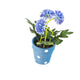 Artificial 19cm Blue Chrysanthemum Plant with Gift Box - Closer2Nature