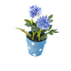 Artificial 19cm Blue Chrysanthemum Plant with Gift Box - Closer2Nature