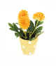 Artificial 19cm Golden Yellow Chrysanthemum Plant with Gift Box - Closer2Nature