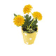 Artificial 19cm Golden Yellow Chrysanthemum Plant with Gift Box - Closer2Nature