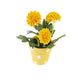 Artificial 19cm Golden Yellow Chrysanthemum Plant with Gift Box - Closer2Nature