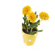 Artificial 19cm Golden Yellow Chrysanthemum Plant with Gift Box - Closer2Nature