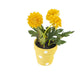 Artificial 19cm Golden Yellow Chrysanthemum Plant with Gift Box - Closer2Nature