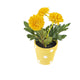 Artificial 19cm Golden Yellow Chrysanthemum Plant with Gift Box - Closer2Nature