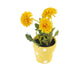 Artificial 19cm Golden Yellow Chrysanthemum Plant with Gift Box - Closer2Nature