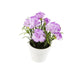 Artificial 15cm Purple Carnation Plant with Gift Box - Closer2Nature