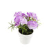 Artificial 15cm Purple Carnation Plant with Gift Box - Closer2Nature