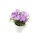 Artificial 15cm Purple Carnation Plant with Gift Box - Closer2Nature