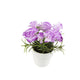 Artificial 15cm Purple Carnation Plant with Gift Box - Closer2Nature