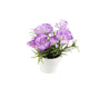 Artificial 15cm Purple Carnation Plant with Gift Box - Closer2Nature