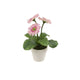 Artificial 1ft Pink Gerbera Plant - Closer2Nature