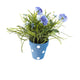 Artificial 27cm Blue Chrysanthemum Plant Display - Closer2Nature