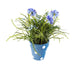 Artificial 27cm Blue Chrysanthemum Plant Display - Closer2Nature