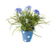 Artificial 27cm Blue Chrysanthemum Plant Display - Closer2Nature