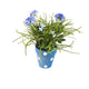 Artificial 27cm Blue Chrysanthemum Plant Display - Closer2Nature