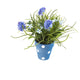 Artificial 27cm Blue Chrysanthemum Plant Display - Closer2Nature