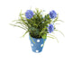 Artificial 27cm Blue Chrysanthemum Plant Display - Closer2Nature