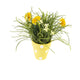 Artificial 27cm Golden Yellow Chrysanthemum Plant Display - Closer2Nature