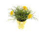 Artificial 27cm Golden Yellow Chrysanthemum Plant Display - Closer2Nature