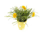 Artificial 27cm Golden Yellow Chrysanthemum Plant Display - Closer2Nature