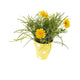 Artificial 27cm Golden Yellow Chrysanthemum Plant Display - Closer2Nature