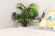 Artificial 3ft Lady Palm Tree Closer2Nature