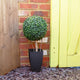 Artificial 2ft Boxwood Tree Ball Topiary - Closer2Nature