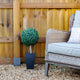Artificial 2ft Boxwood Tree Ball Topiary - Closer2Nature