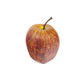 Artificial 7cm Jonagold Apple - Closer2Nature