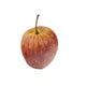 Artificial 7cm Jonagold Apple - Closer2Nature