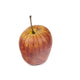 Artificial 7cm Jonagold Apple - Closer2Nature