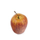 Artificial 7cm Jonagold Apple - Closer2Nature