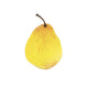 Artificial 9cm Comice Pear - Closer2Nature