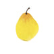 Artificial 9cm Comice Pear - Closer2Nature