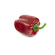 Artificial 8cm Bell Pepper - Closer2Nature