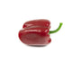 Artificial 8cm Bell Pepper - Closer2Nature