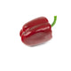 Artificial 8cm Bell Pepper - Closer2Nature
