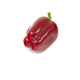 Artificial 8cm Bell Pepper - Closer2Nature