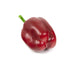 Artificial 8cm Bell Pepper - Closer2Nature
