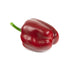 Artificial 8cm Bell Pepper - Closer2Nature