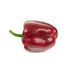 Artificial 8cm Bell Pepper - Closer2Nature