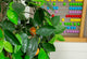 Artificial 3ft 3″ Orange Tree Closer2Nature
